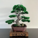 PINE (Custom Made)