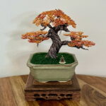 SHOHIN BUDDHA I.