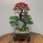 AUTUMN HORNBEAM