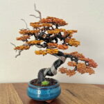MAME ORANGE