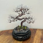 MAME SILVER PINE
