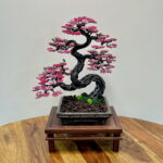 SAKURA II.