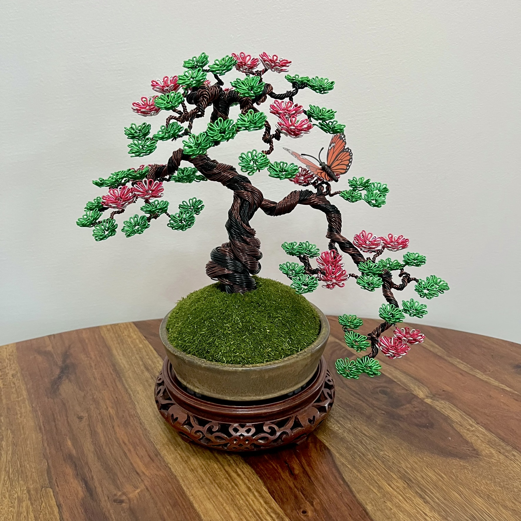 Sakura Semi-cascade