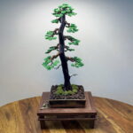 LARCH II.