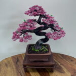 SAKURA (Custom Made)