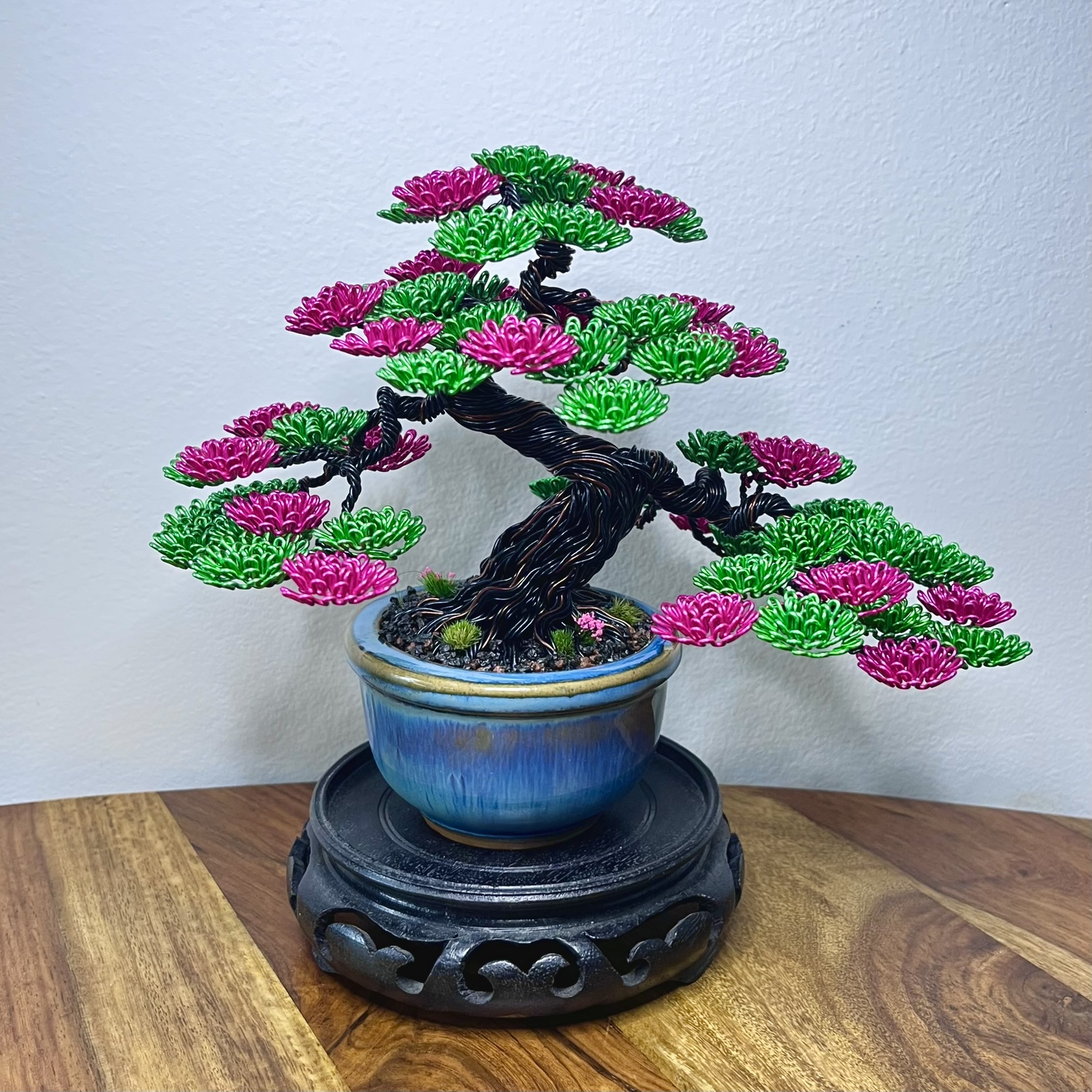 Shohin of Sakura II