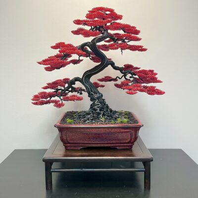 Silver-Line Maple (Custom-made)