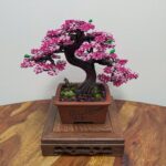 SHOHIN OF SAKURA