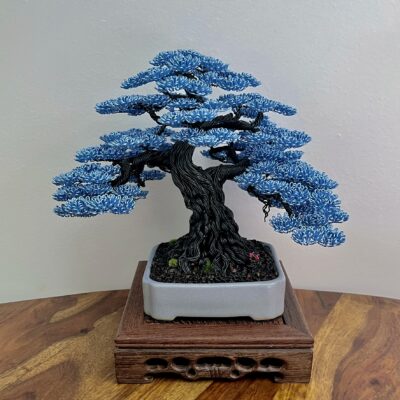 Blue Oak II