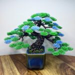 SHOHIN FORGET-ME-NOT