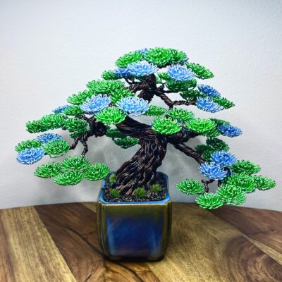 Shohin Forget-me-not