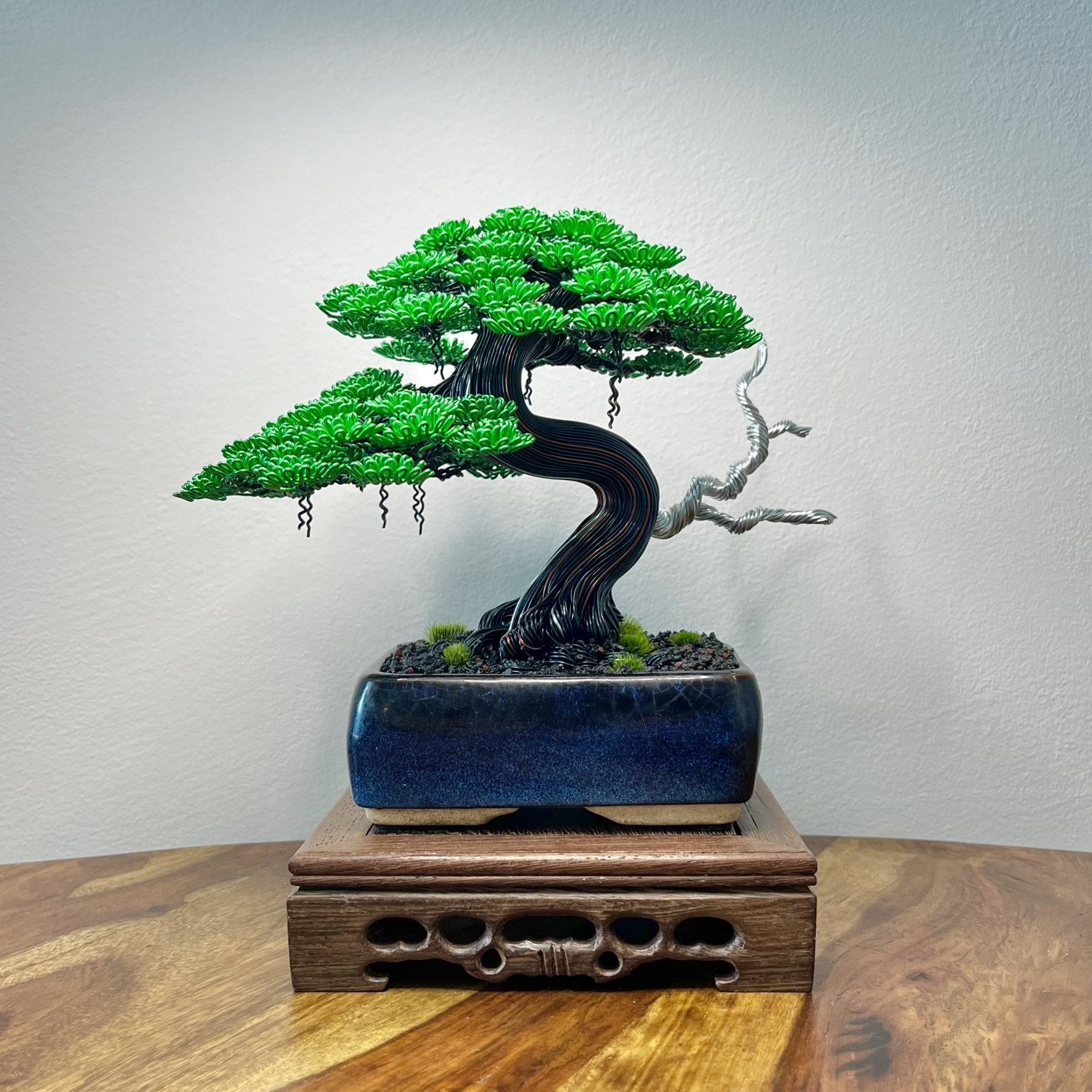 Chinese Elm