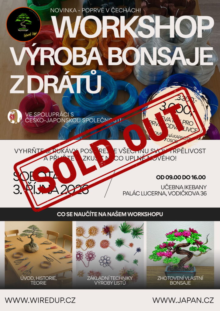 SOLDOUT Wired Up - Workshop 3.10.26 CZ - 1